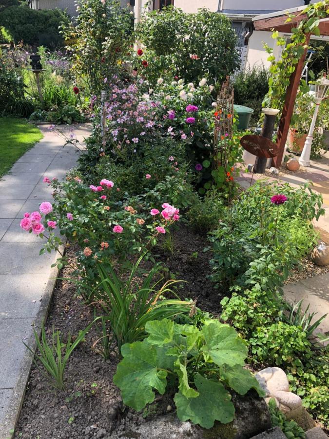 Apartment Gartenblick