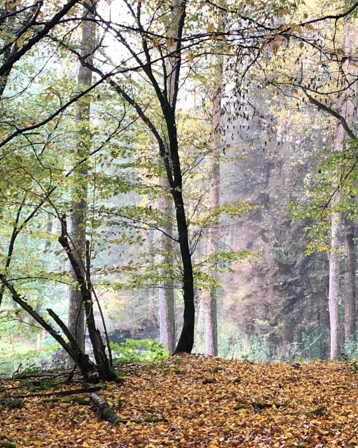Apartment Gartenblick Leichlingen