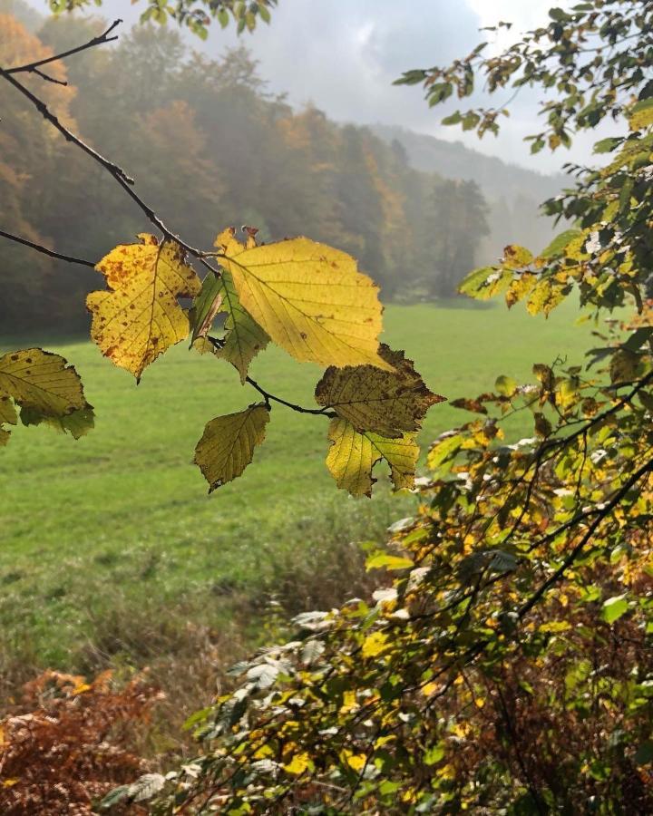 Gartenblick Leichlingen