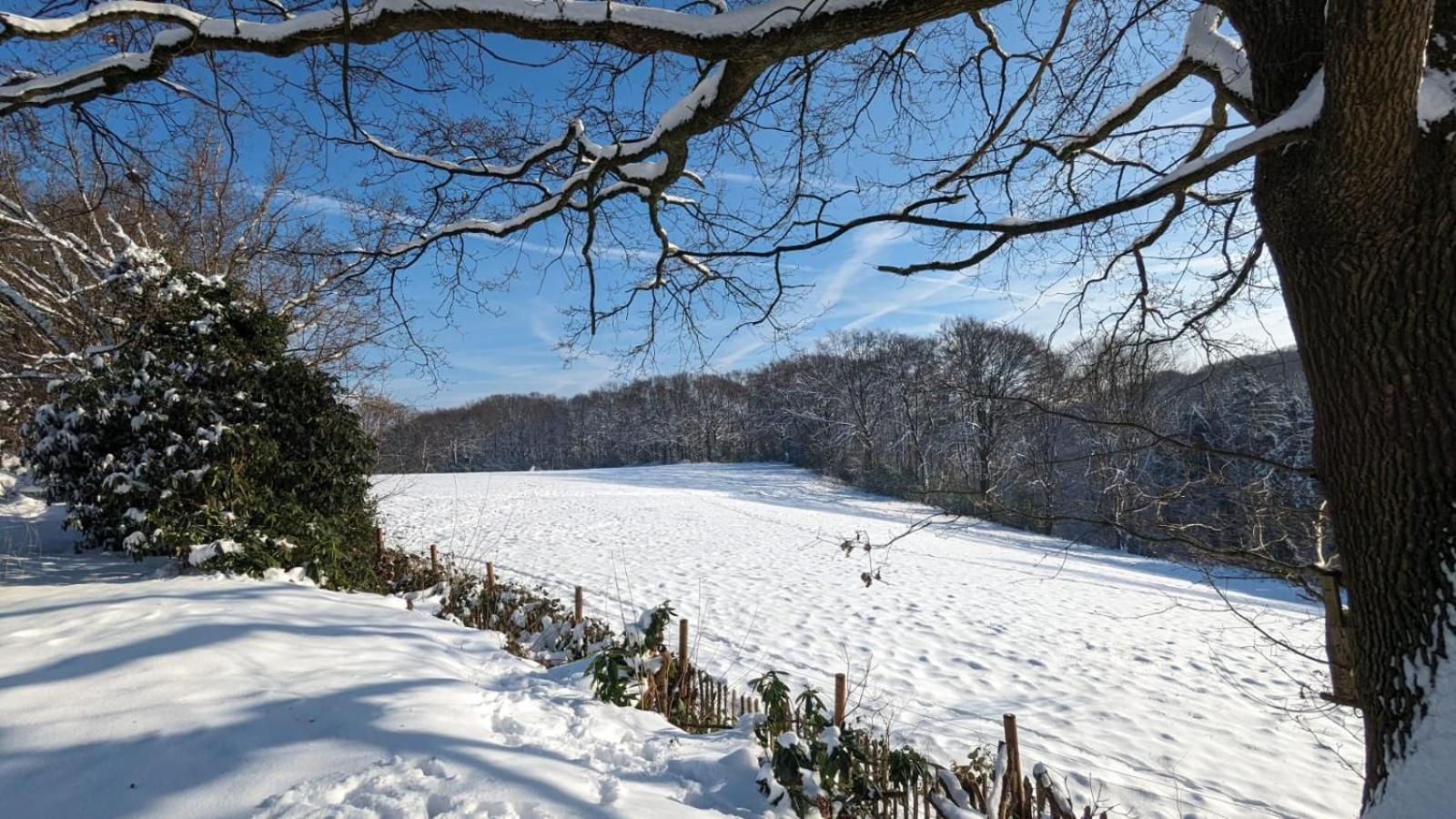 Gartenblick *