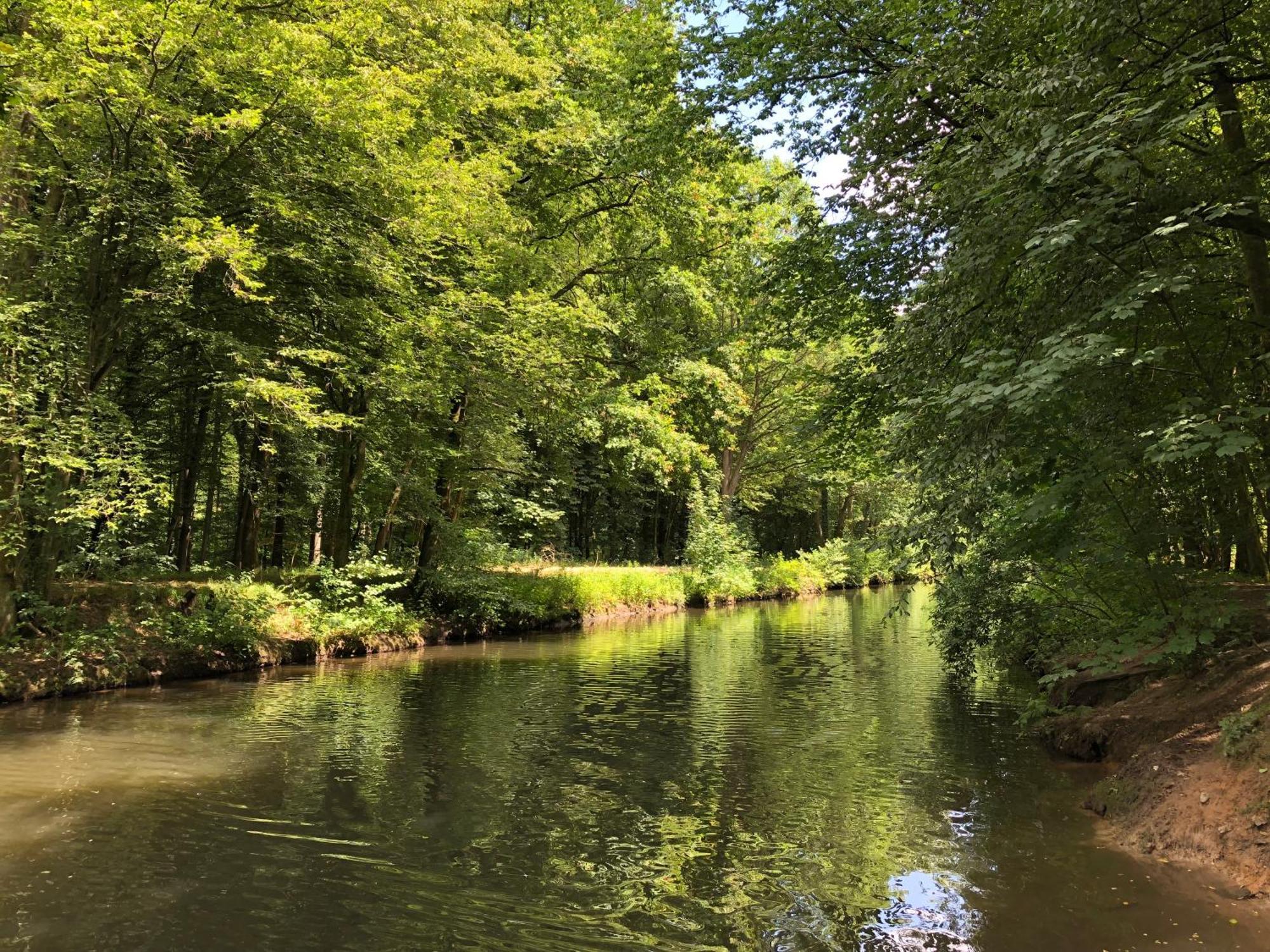 Gartenblick Apartment Leichlingen