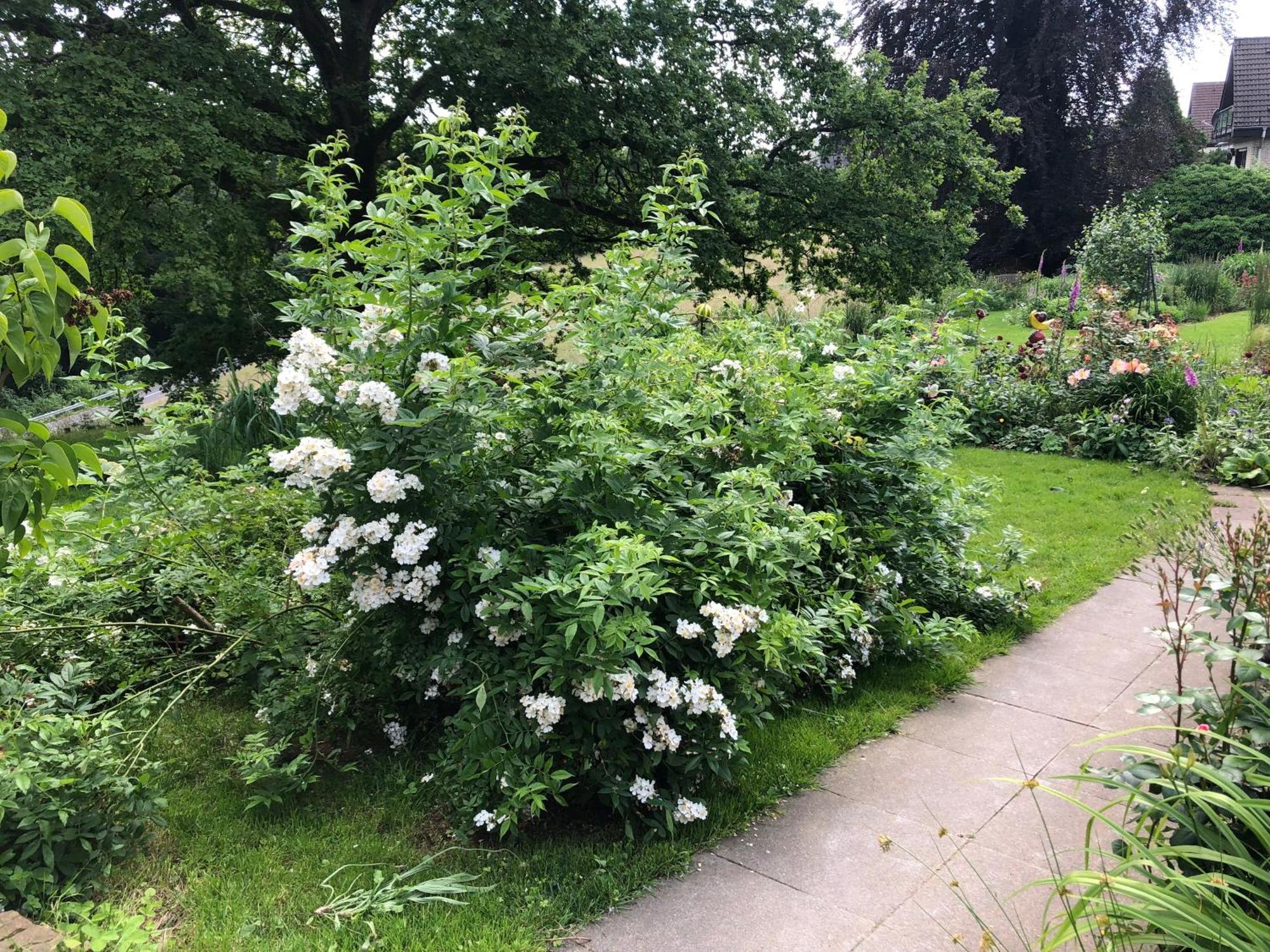 Gartenblick *