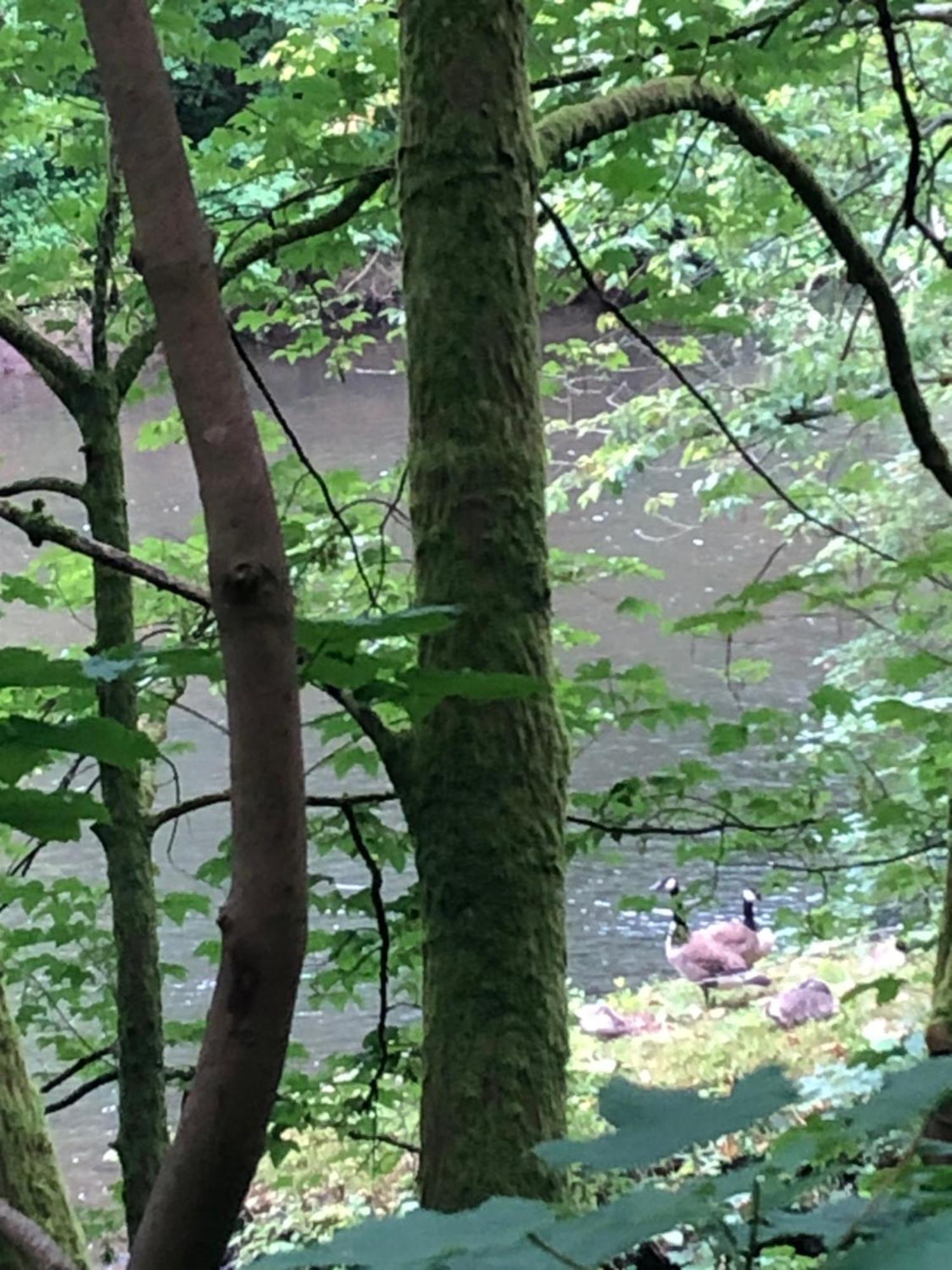 Gartenblick * Leichlingen