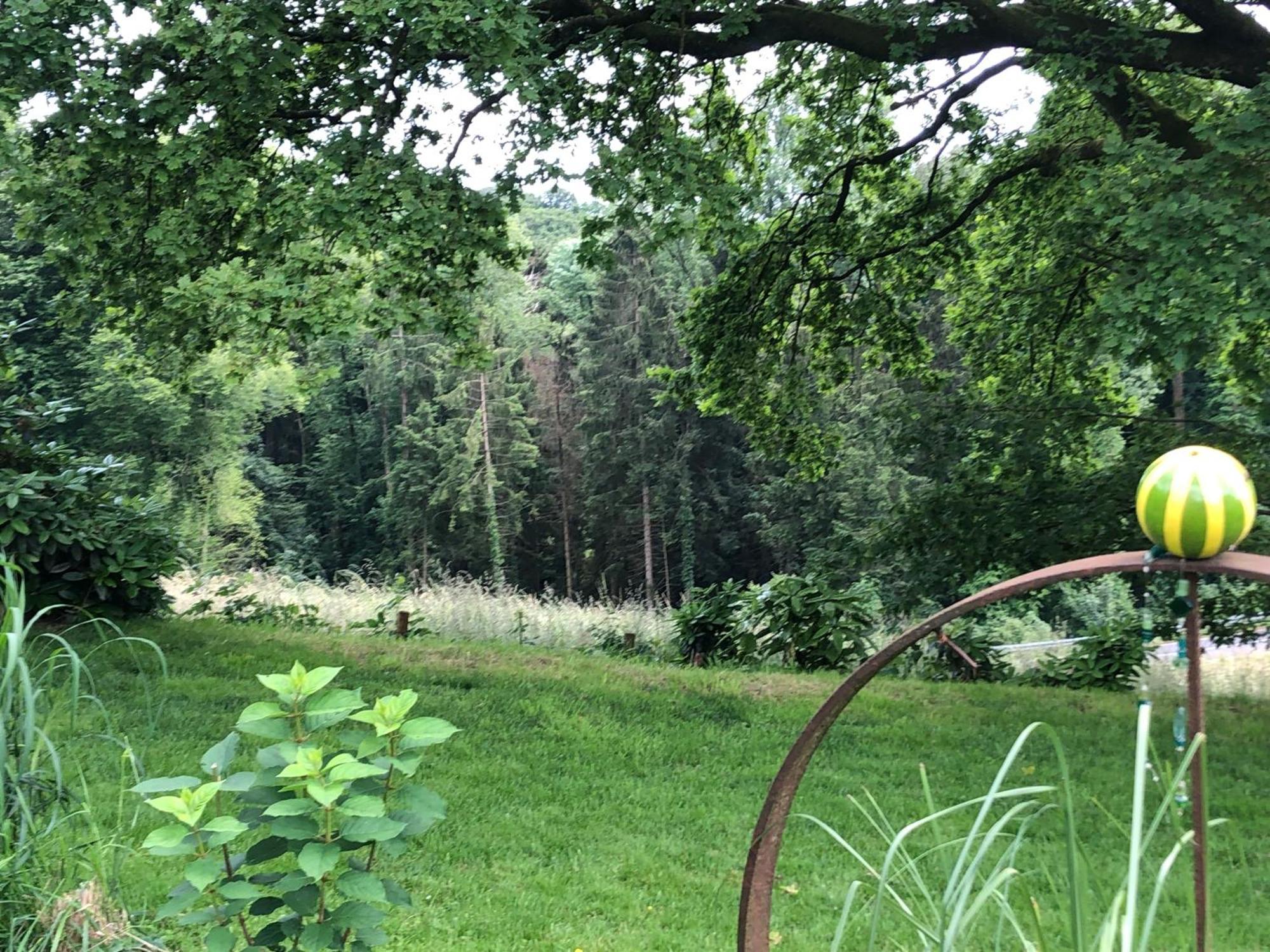 Apartment Gartenblick